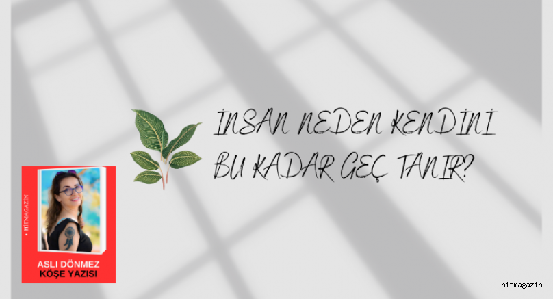 ASLI D�NMEZ K�?E YAZISI