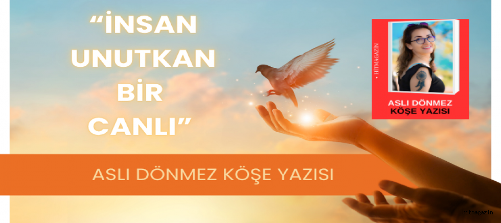 ASLI DÖNMEZ KÖŞE YAZISI: “İNSAN UNUTKAN BİR CANLI”