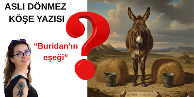 ASLI DÖNMEZ KÖŞE YAZISI 