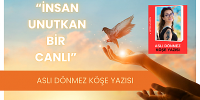 ASLI DÖNMEZ KÖŞE YAZISI: “İNSAN UNUTKAN BİR CANLI”