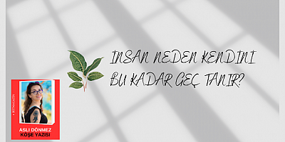 ASLI DÖNMEZ KÖŞE YAZISI