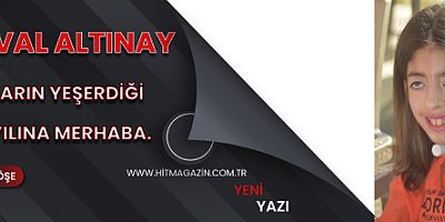 ŞEVVAL ALTINAY KÖŞE YAZISI