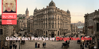 SU ÜNLÜ'NÜN KALEMİNDEN:Galata’dan Pera’ya ve Dingo’nun Ahırı