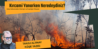 Tanju Altınay Köşe Yazısı 